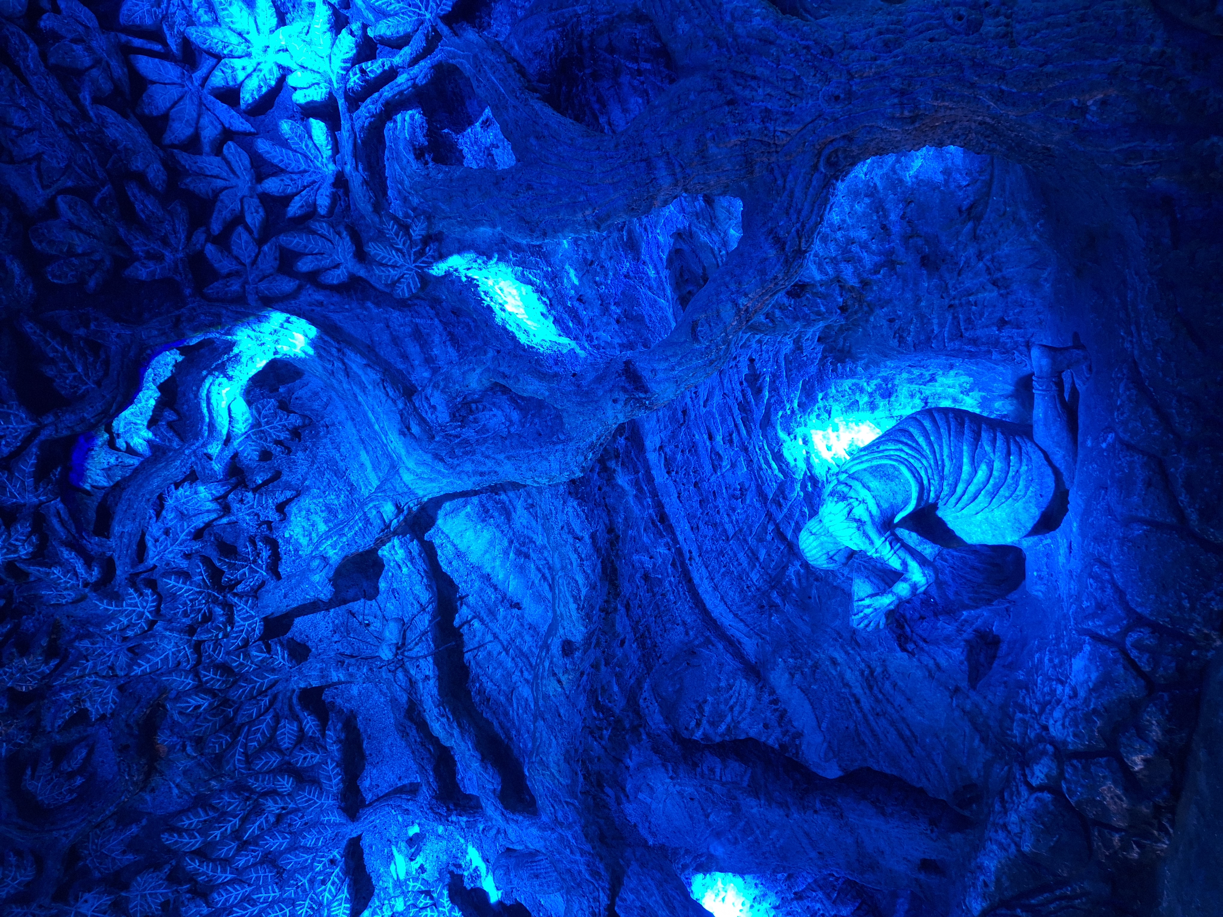 Salt cathedral image